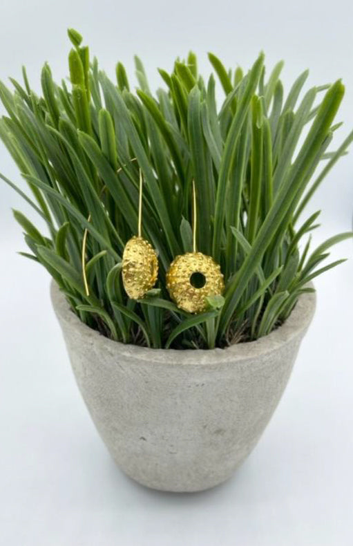 Gold plated brass Sea Urchin earrings